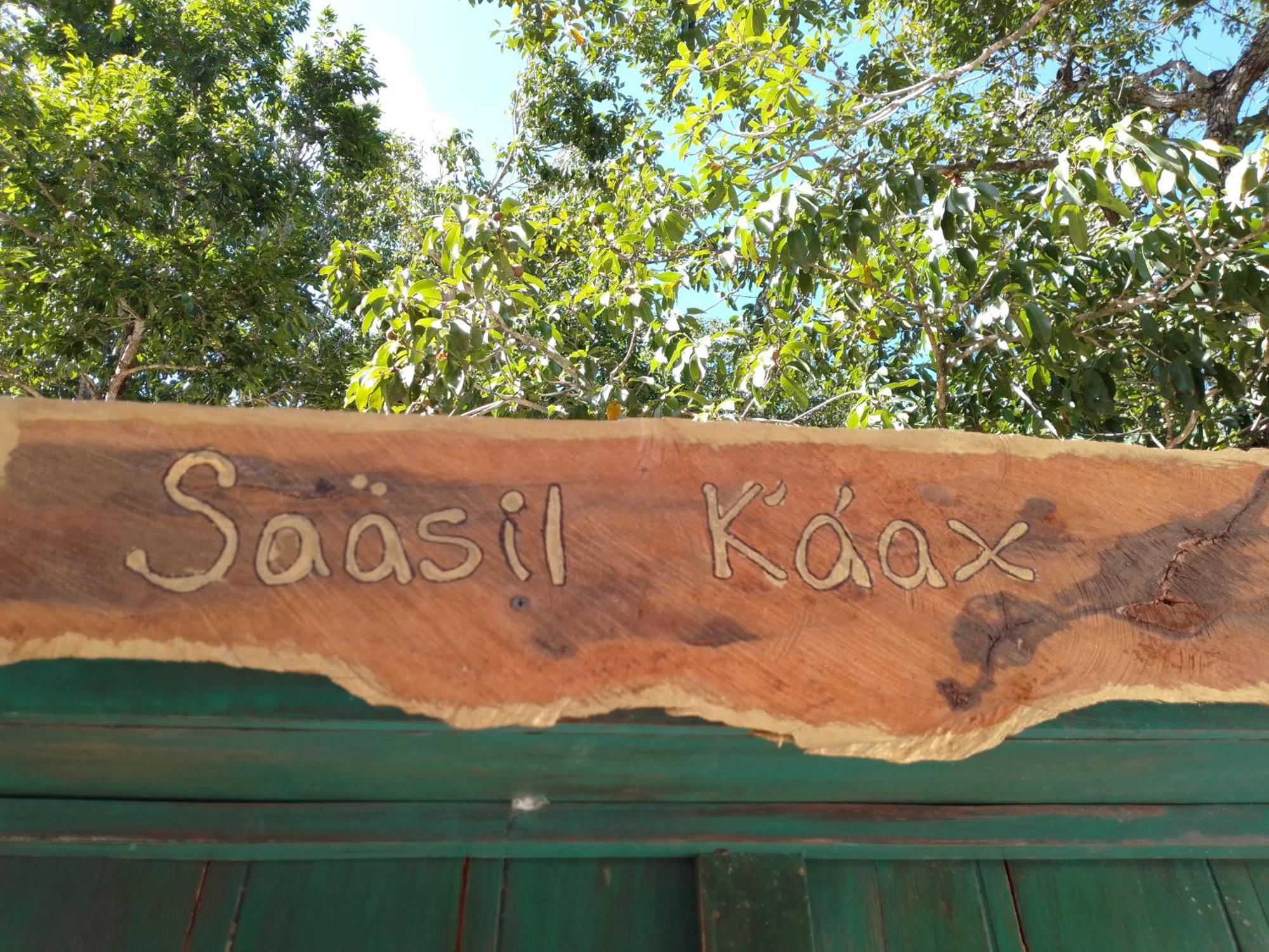 Saasil Kaax Βίλα Chemuyil Εξωτερικό φωτογραφία